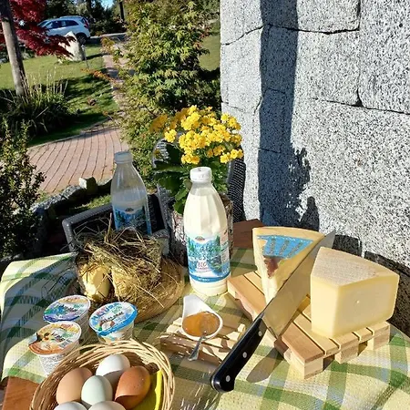 Maso Pin Bed & Breakfast Madonna