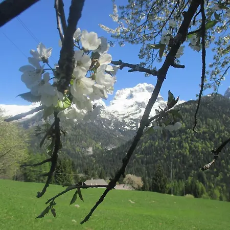 Maso Pin Bed & Breakfast